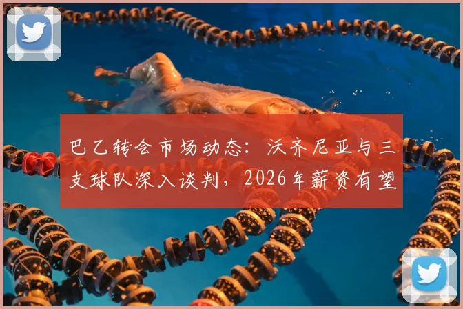 巴乙转会市场动态：沃齐尼亚与三支球队深入谈判，2026年薪资有望大幅提升，附最新球员转会分析